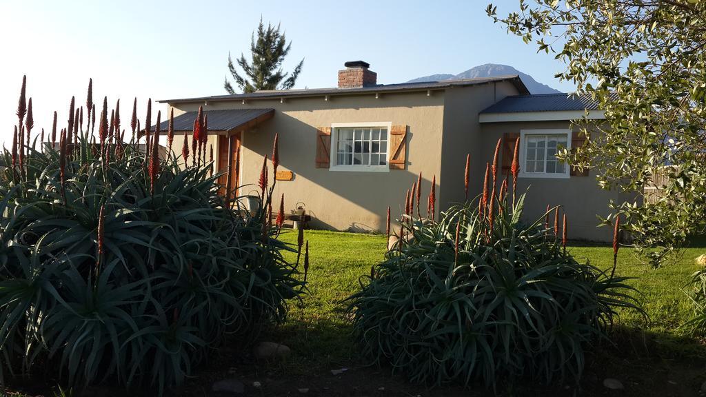Seven Oaks Vineyard Cottages Wolseley Buitenkant foto