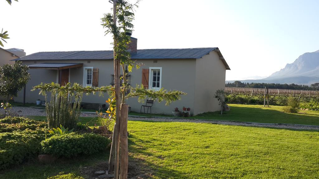 Seven Oaks Vineyard Cottages Wolseley Buitenkant foto