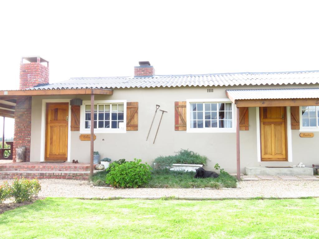 Seven Oaks Vineyard Cottages Wolseley Buitenkant foto