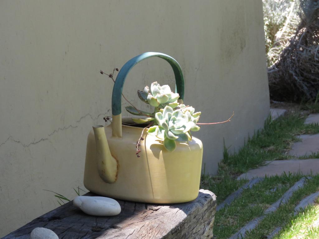 Seven Oaks Vineyard Cottages Wolseley Buitenkant foto