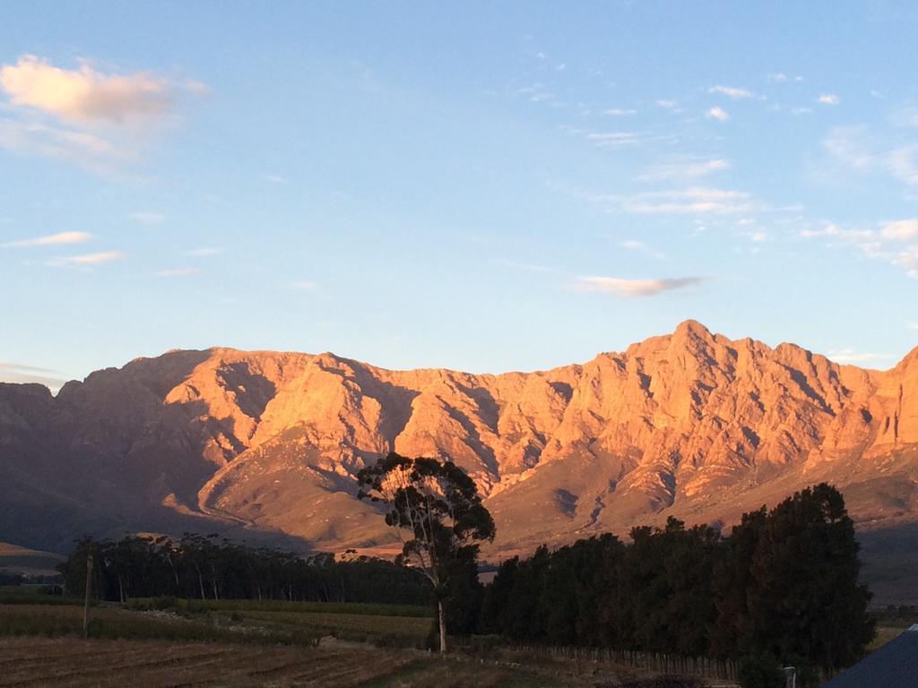 Seven Oaks Vineyard Cottages Wolseley Buitenkant foto