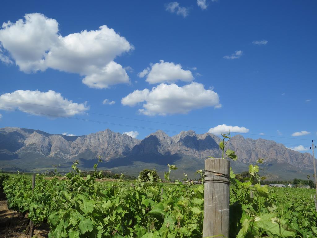 Seven Oaks Vineyard Cottages Wolseley Buitenkant foto