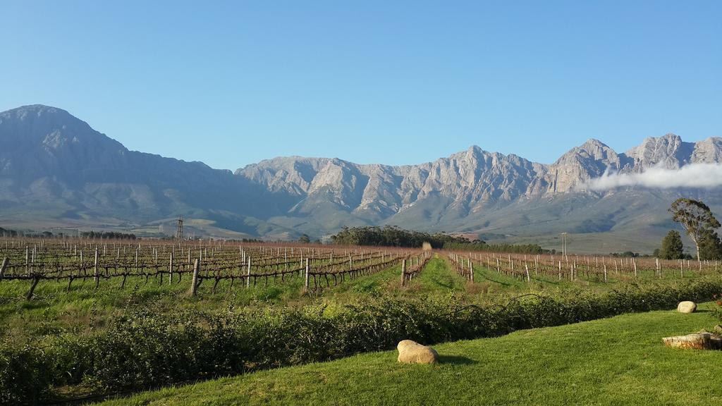 Seven Oaks Vineyard Cottages Wolseley Buitenkant foto