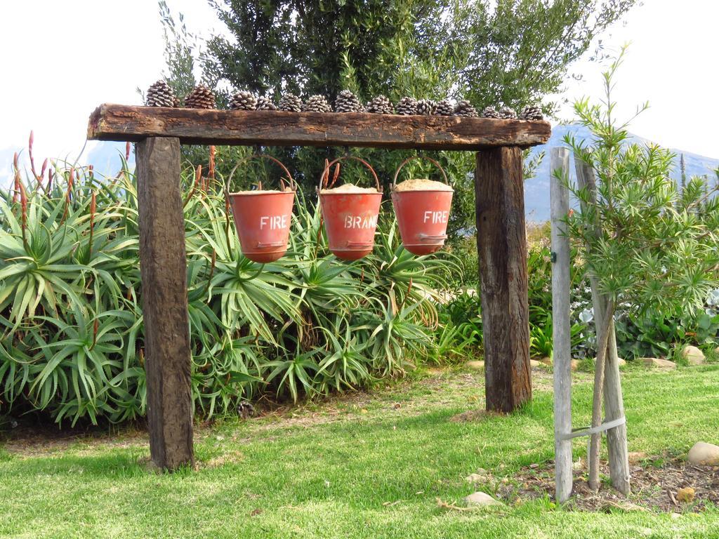 Seven Oaks Vineyard Cottages Wolseley Buitenkant foto