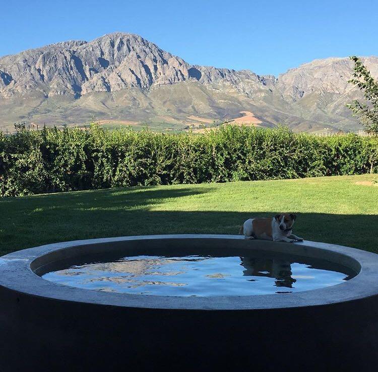 Seven Oaks Vineyard Cottages Wolseley Buitenkant foto