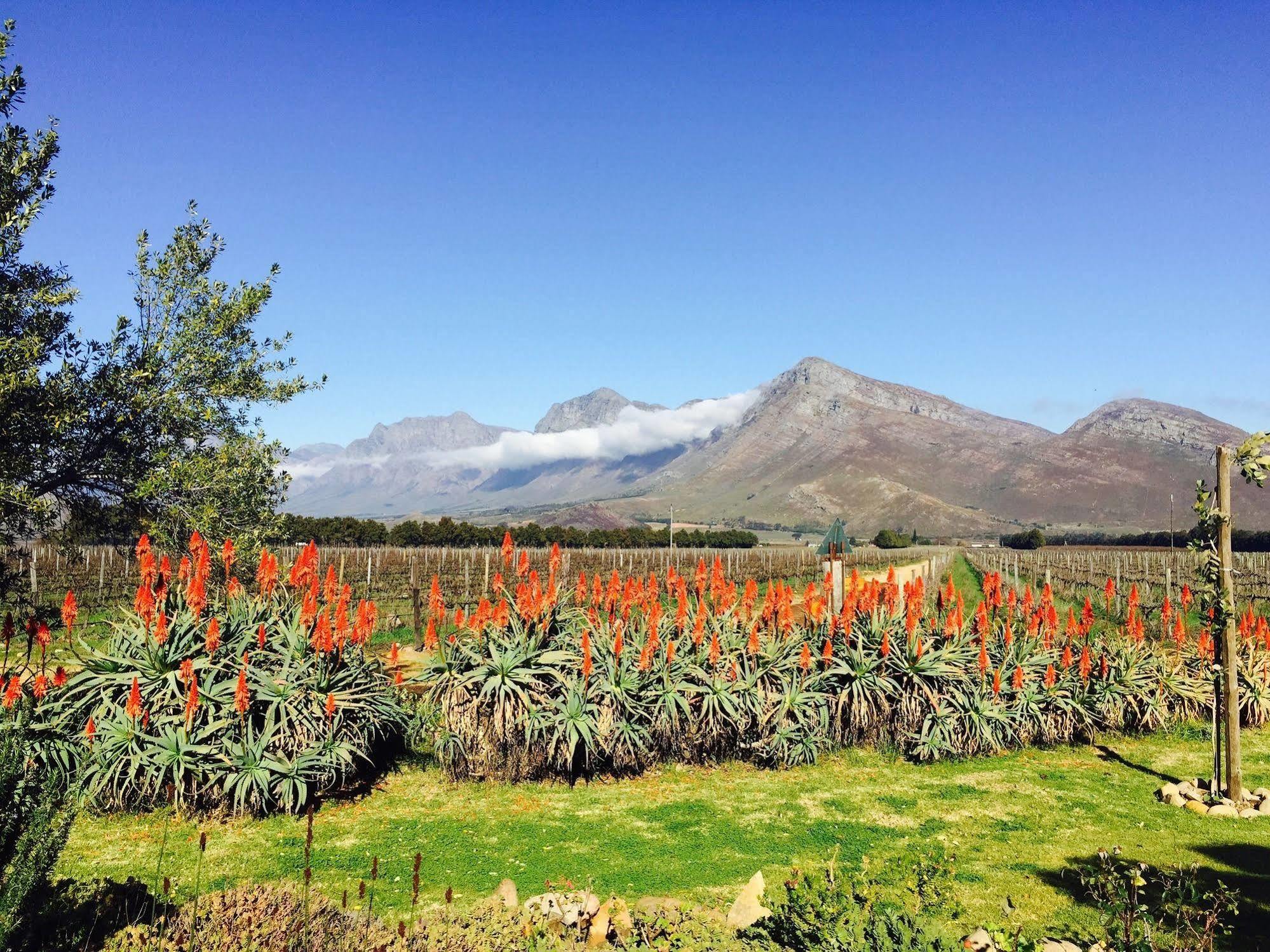 Seven Oaks Vineyard Cottages Wolseley Buitenkant foto