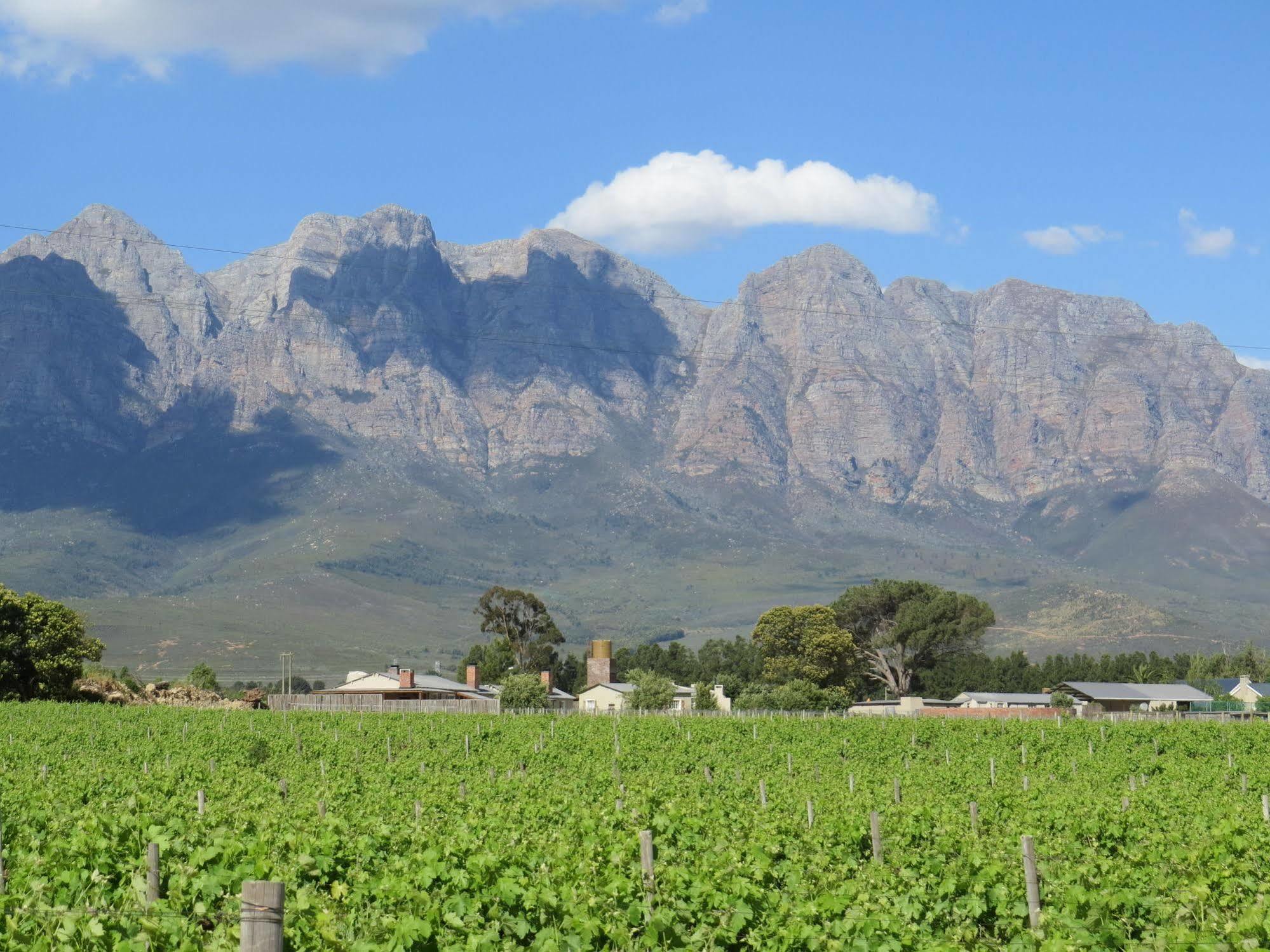 Seven Oaks Vineyard Cottages Wolseley Buitenkant foto